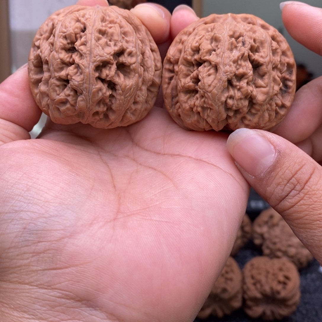 文玩核桃把件45大粗筋