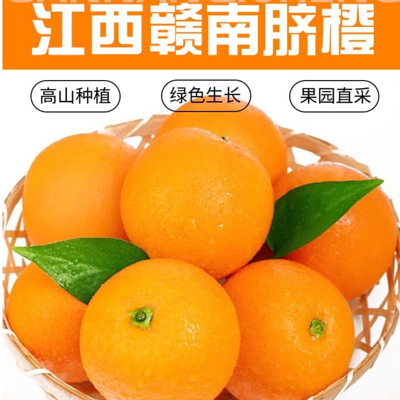 正宗高山赣南脐橙生态种植十年老树香甜多汁现摘现发