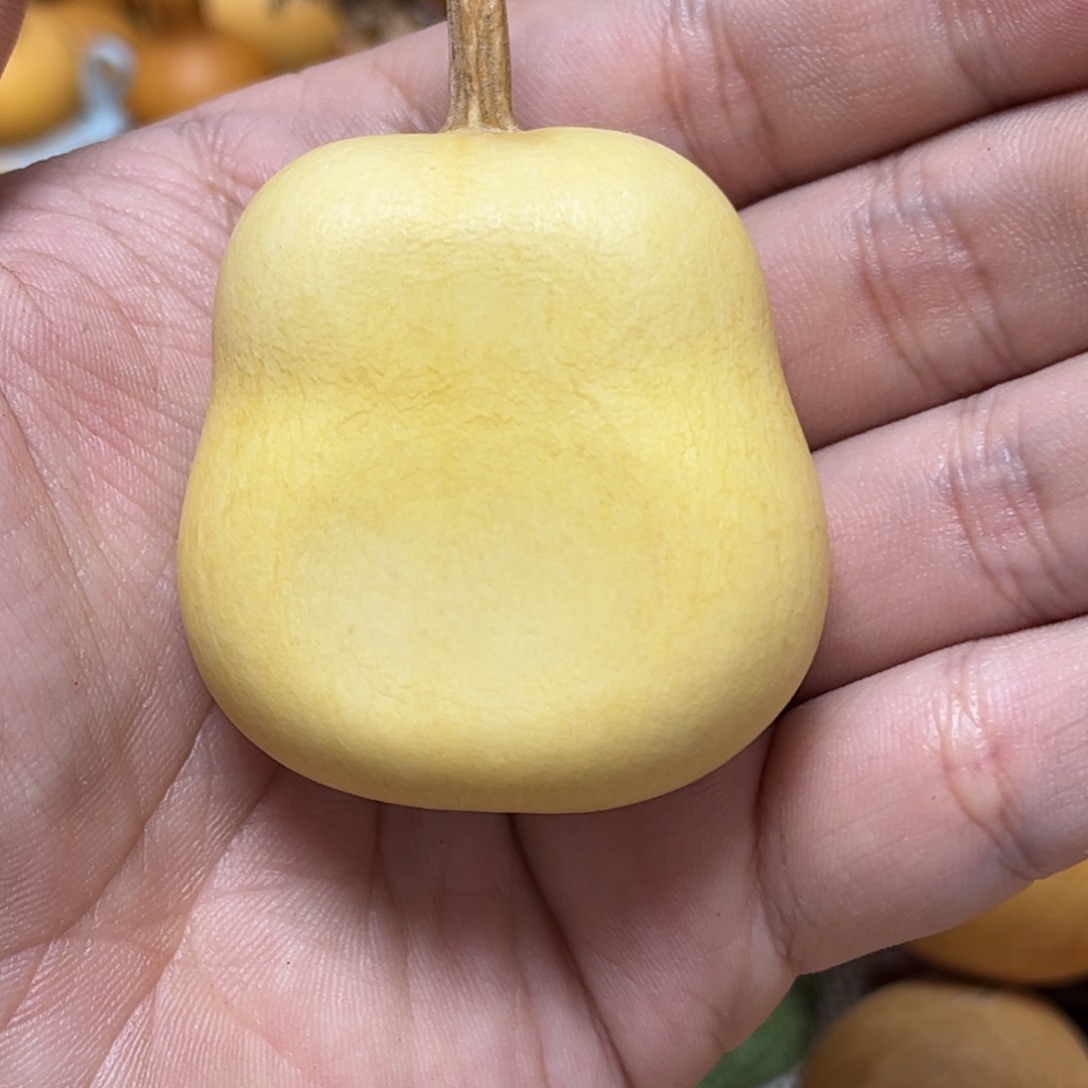 龙***宝葫芦牌型是一个人在家玩