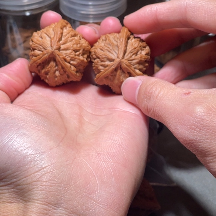 文玩核桃吊坠白狮子奔