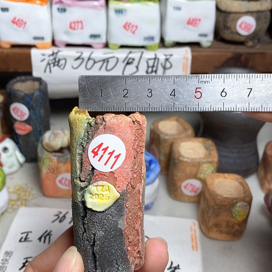 红陶拍5送一个小