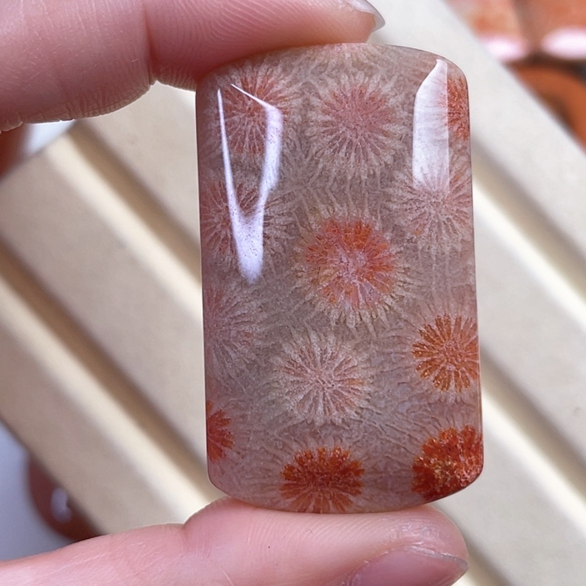 【闪购商品】硅化玉吊坠(赠链)未镶嵌