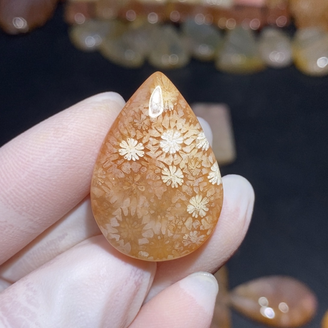 【闪购商品】硅化玉珊瑚玉未镶嵌