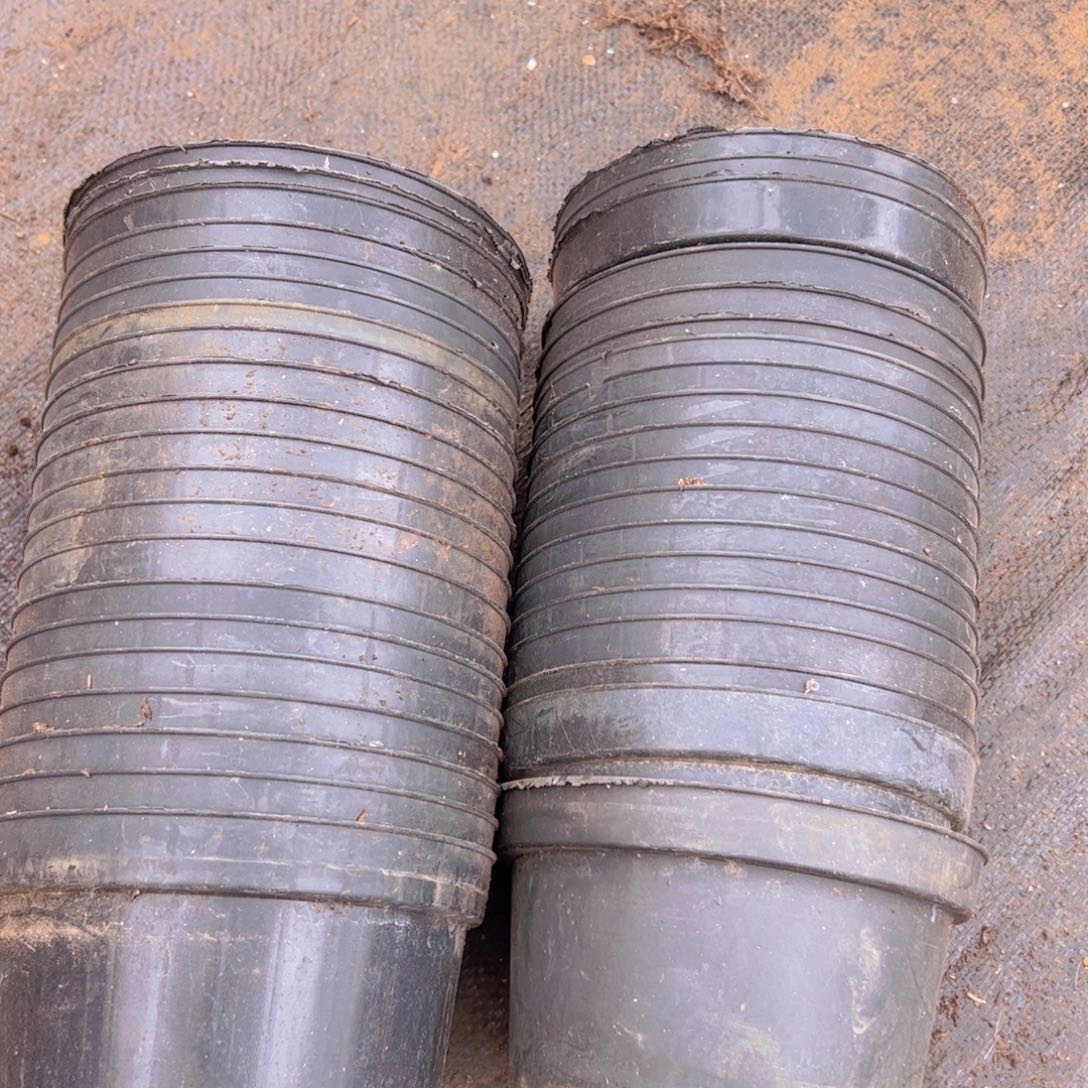 塑料矮胖盆15口径 9厘米高 30个浮力