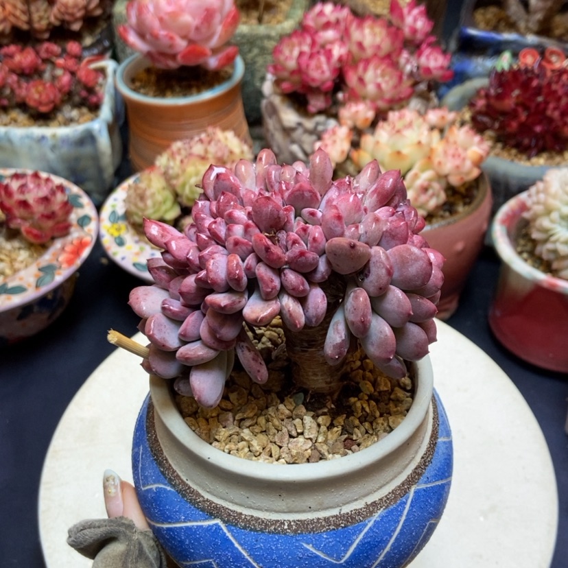 【闪购商品】玛瑙缀