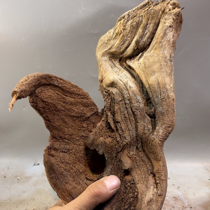 柏***姿崖柏两个造型陈化料