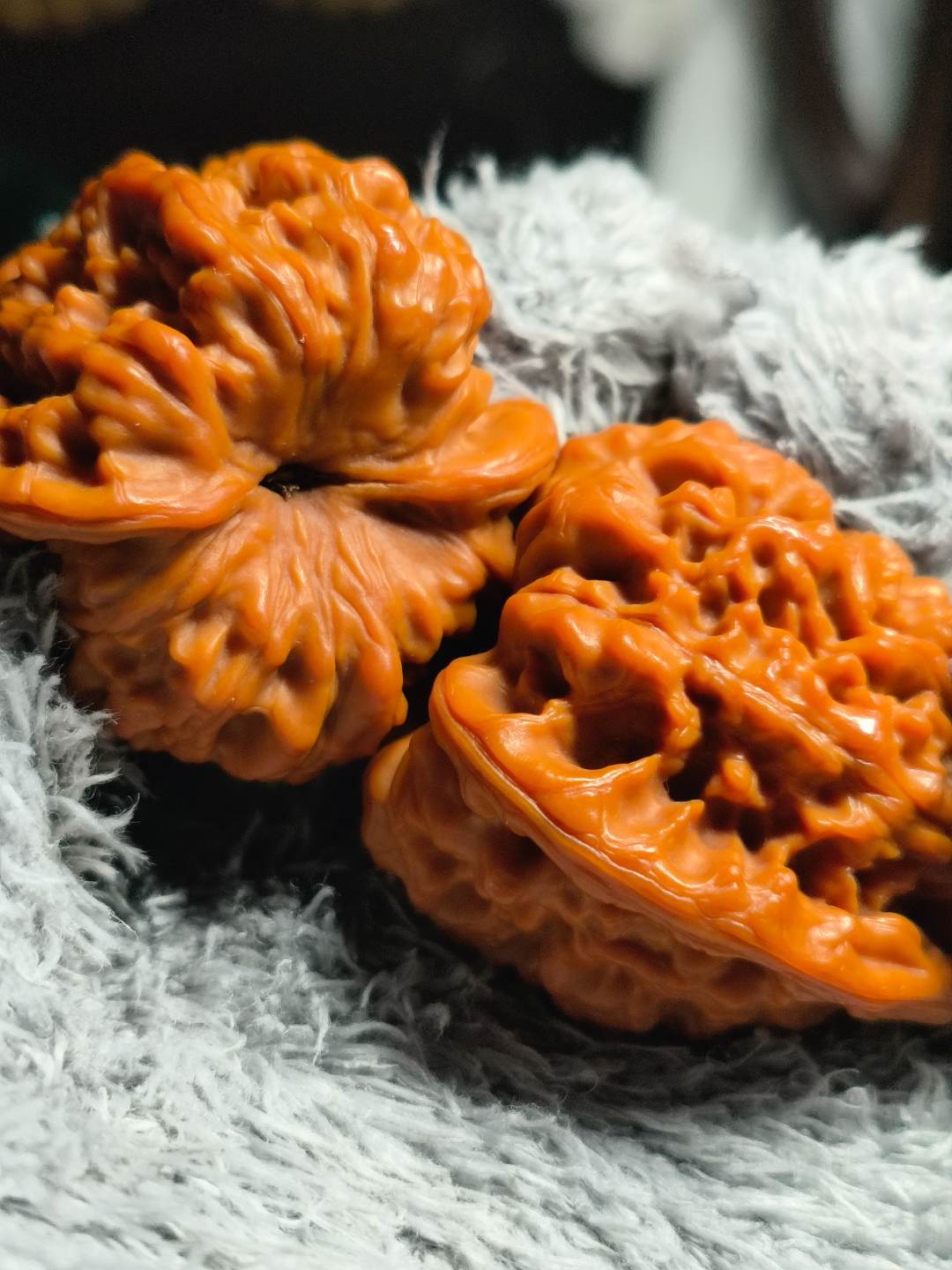 蓟县老树山地文玩核桃直播间选货链接（单拍随机发）