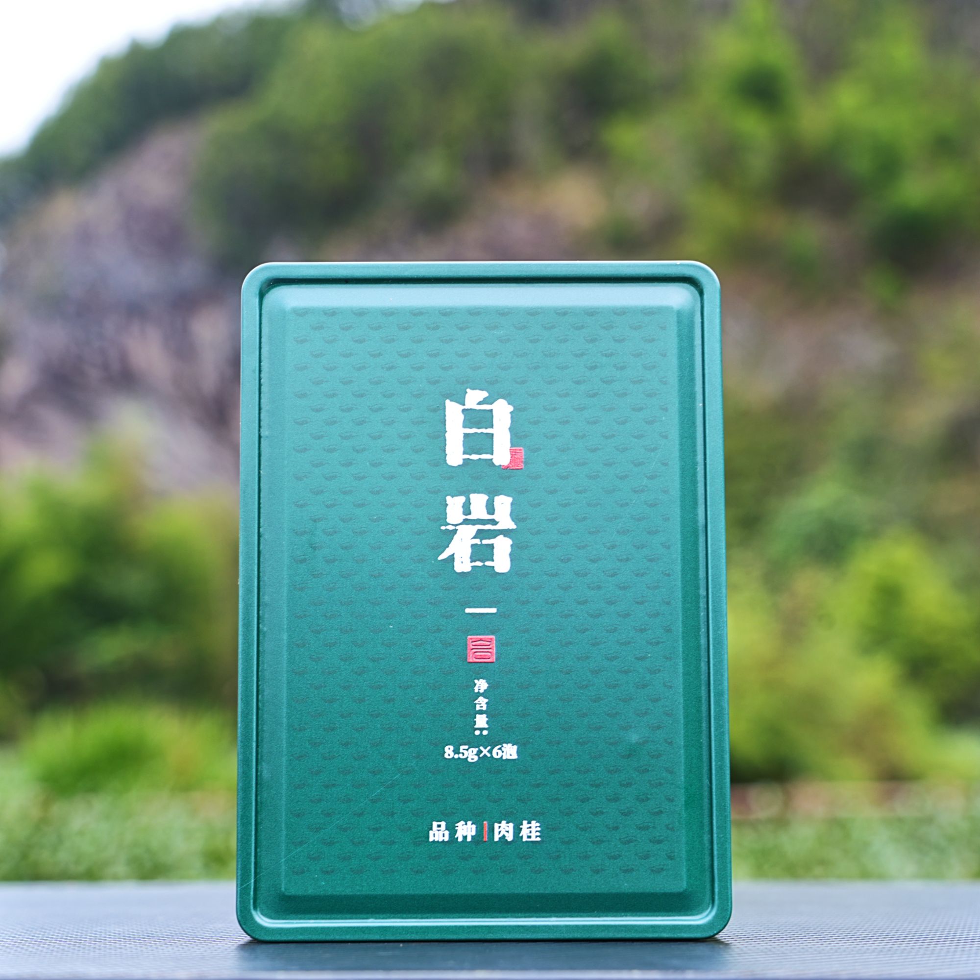 【白岩肉桂】武夷岩茶肉桂茶叶核心产区二道炭焙中火25年春茶乌龙茶