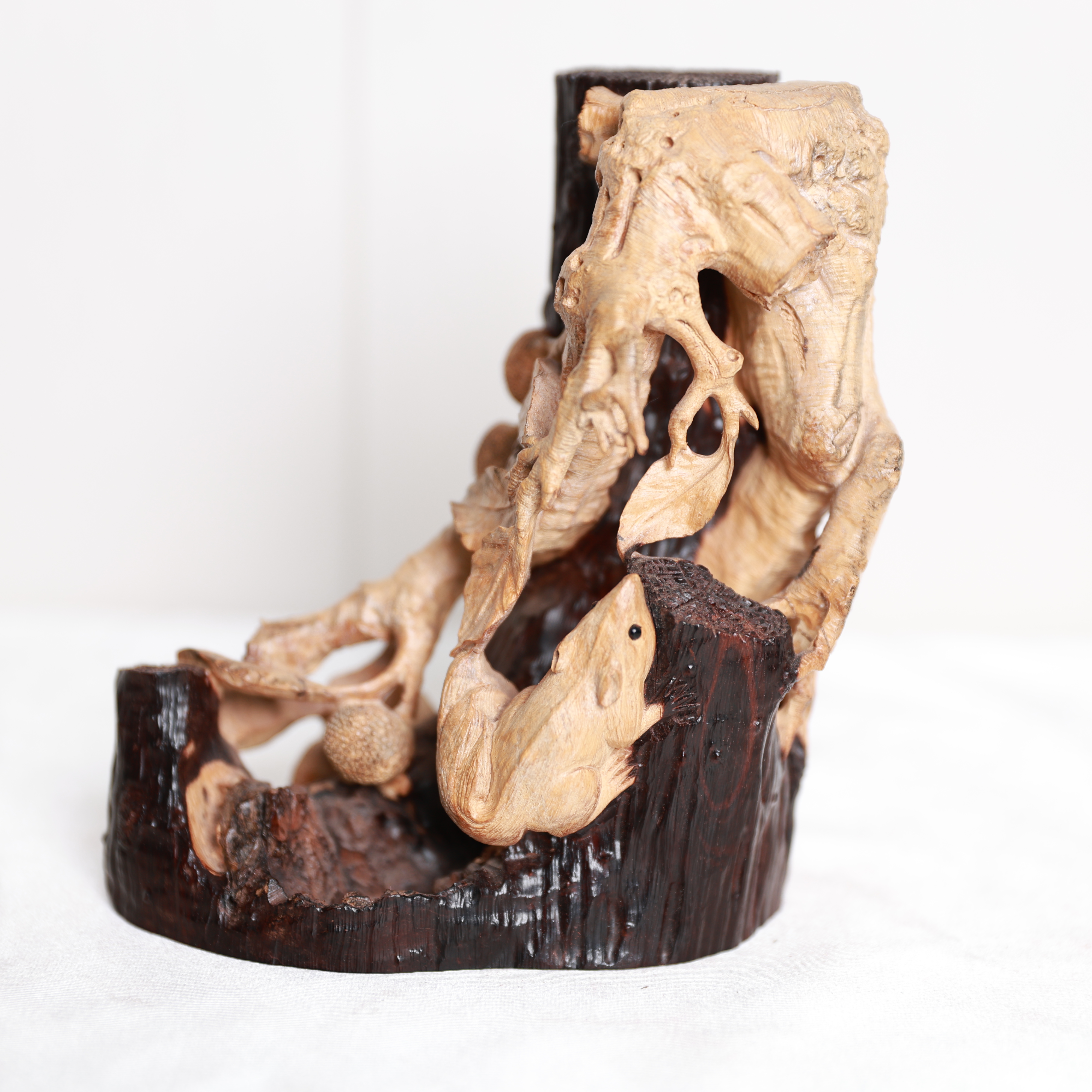 y28912 印度小叶紫檀-四季长青