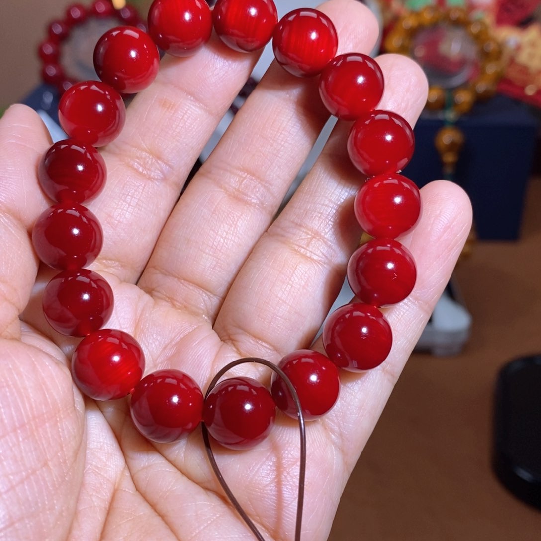 贝壳杉帝王血龙木1.2