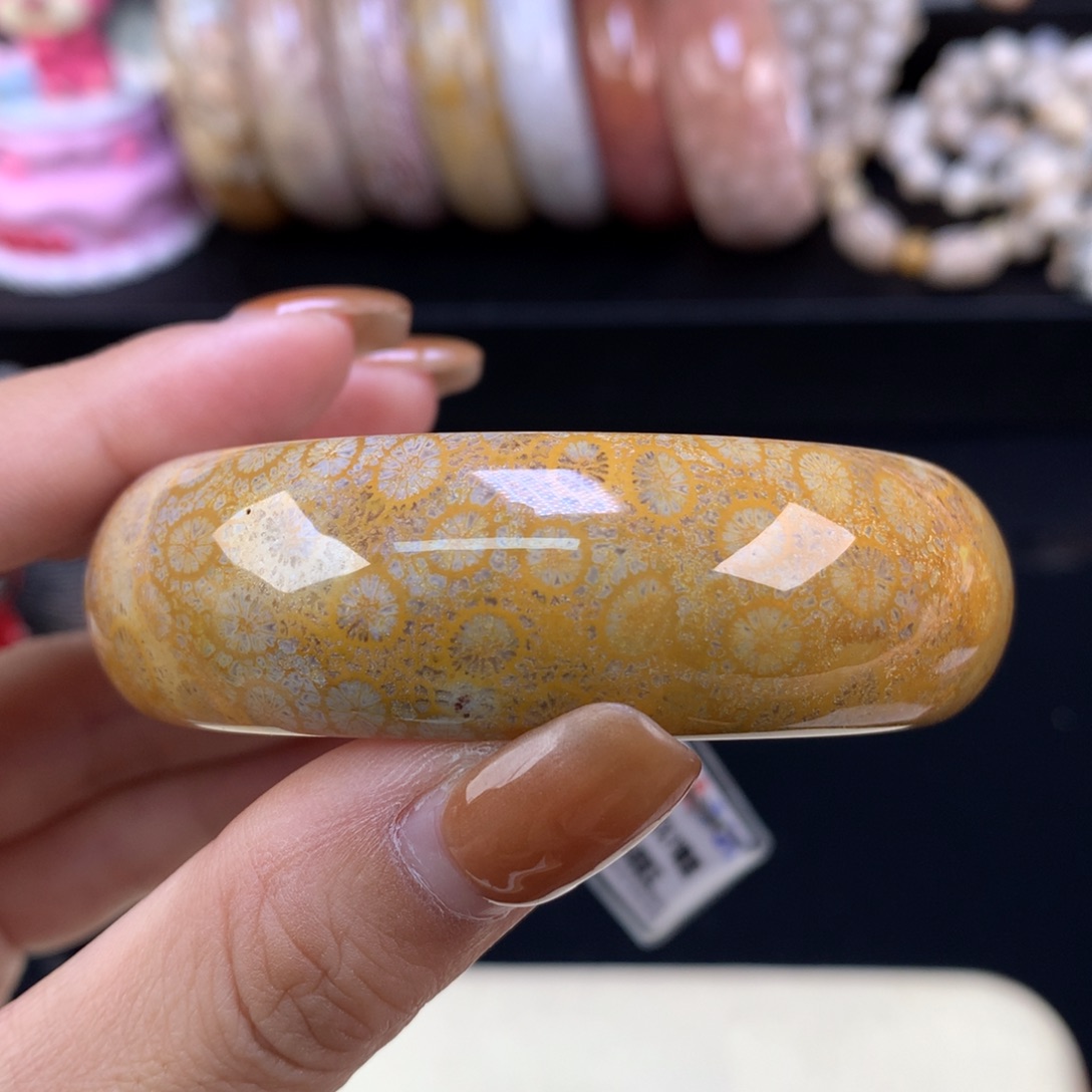 硅化珊瑚（珊瑚玉）未镶嵌颈饰五折精美手镯53.9口（2号）