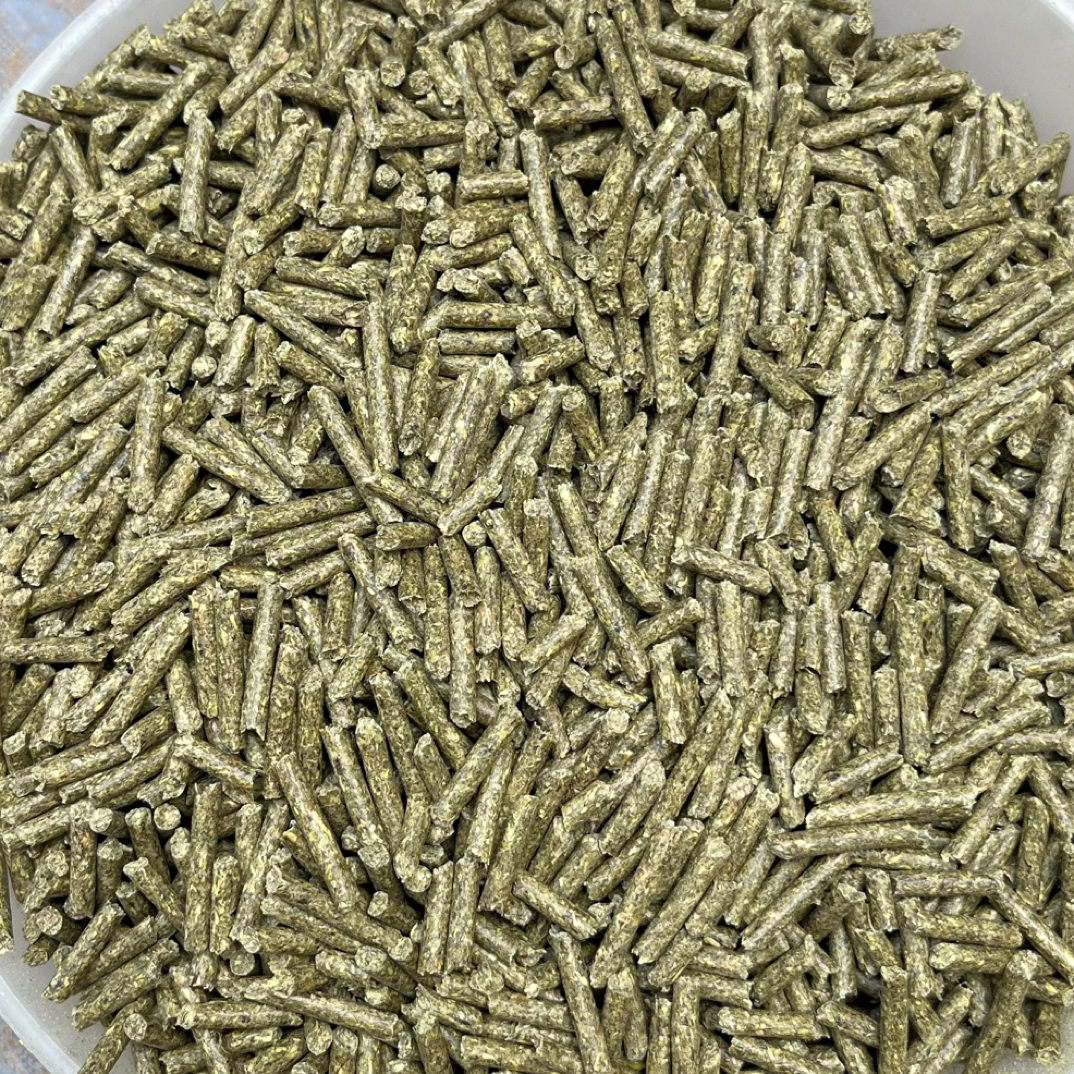 豚鼠荷兰猪专用粮营养丰富直播自用适口性强5斤试吃装