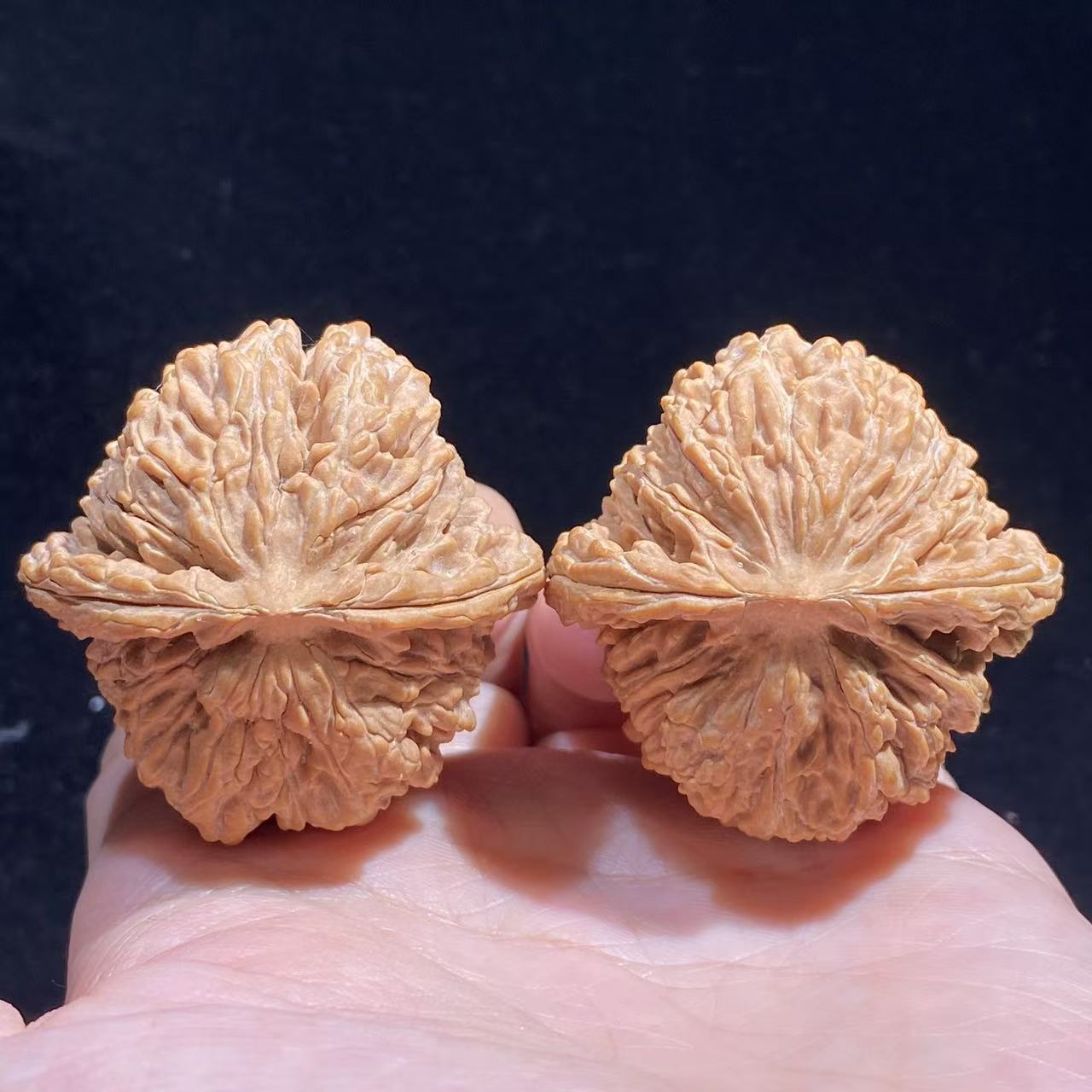 开播福利.精品四座楼