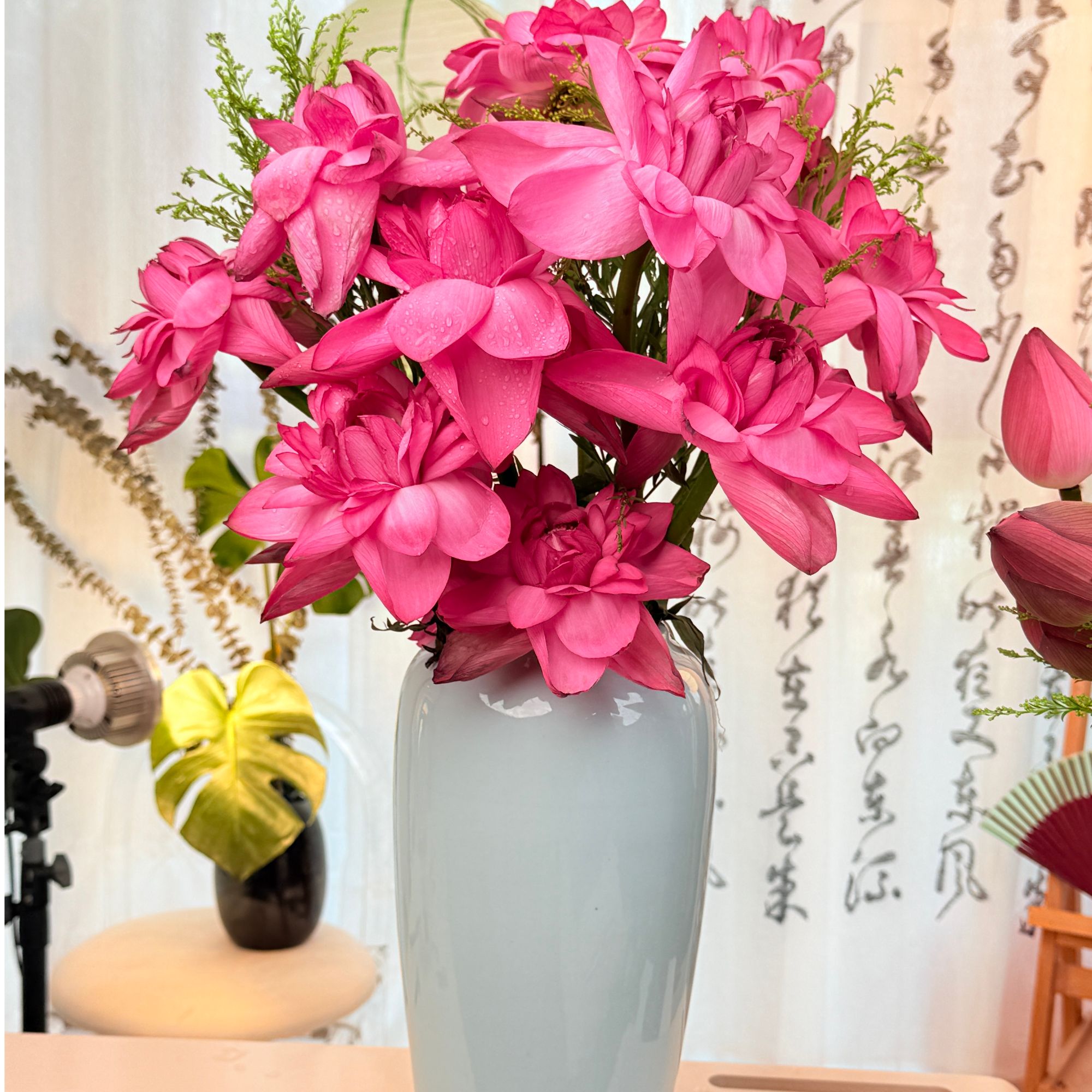 【顺丰空运次日达】自然开花 现采鲜切荷花带杆水培现采现发荷花次日达 今天拍明天到 荷花同城配送