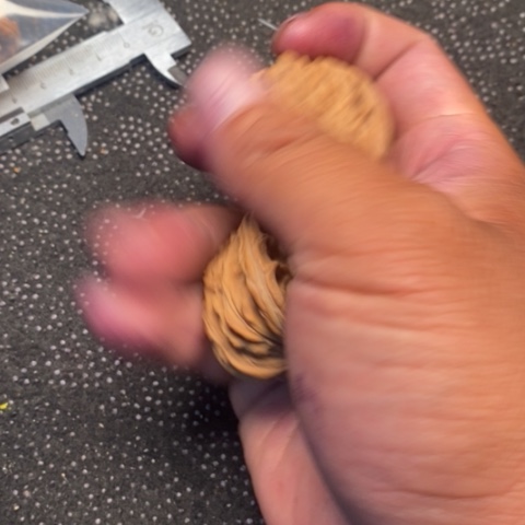 文玩核桃把件西楼3.3