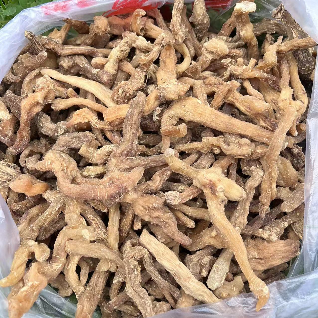 ［西藏收货］西藏波密玉竹 西洋参 炖汤好料