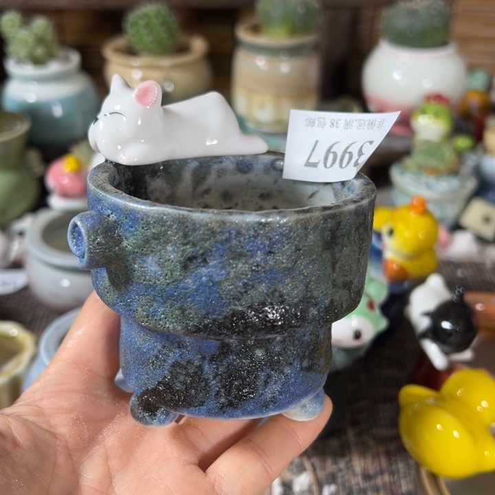 口6高6   活动价满30包邮