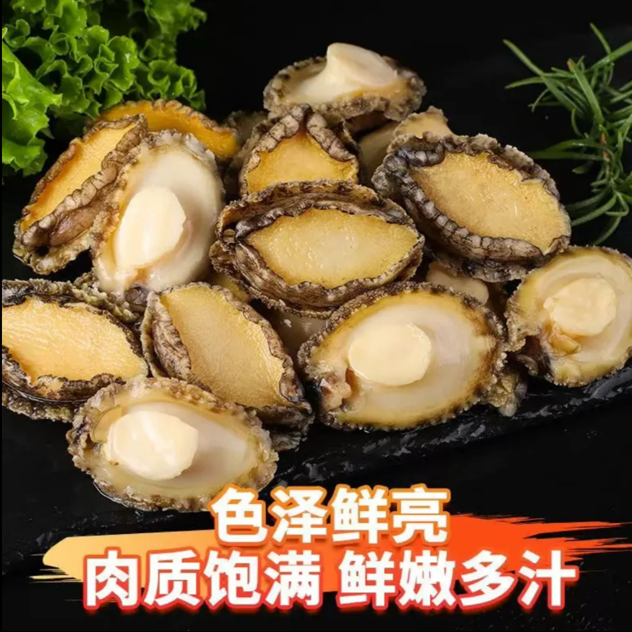 【30只】鲍鱼肉鲜活现剥大号5-6厘米去壳去内脏拍20只➕10只到手30只