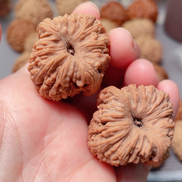 32尺寸全品蚂蚁纹高桩南疆石