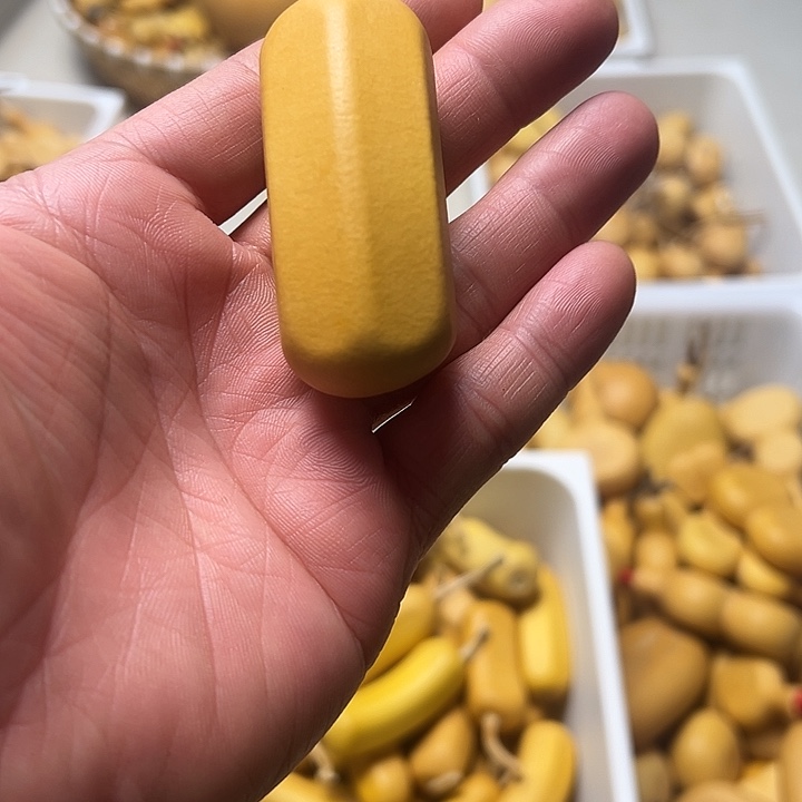 宇****葫芦葫芦葫芦葫芦