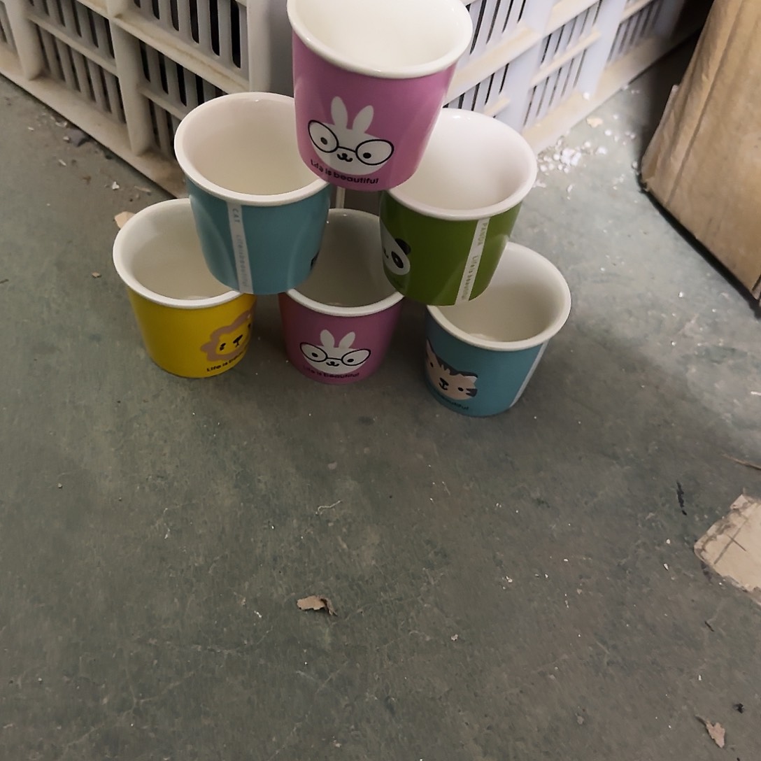 6个随机颜色福利局绿植多肉盆［凑9元包邮24小时发］