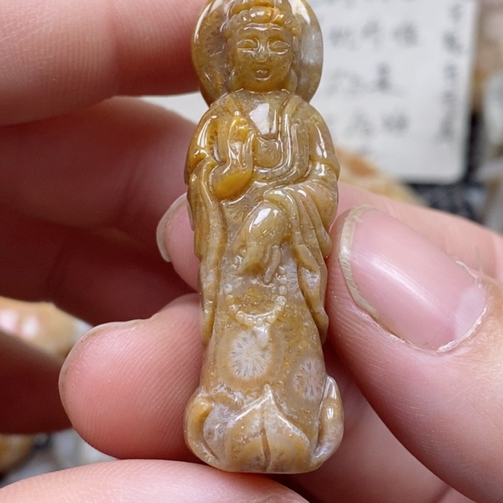 颈饰未镶嵌硅化珊瑚（珊瑚玉）