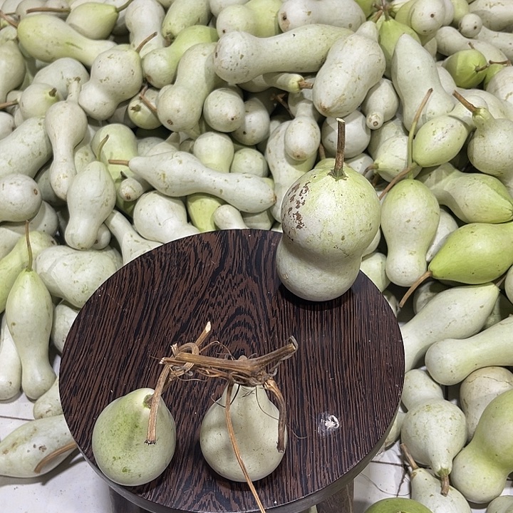 非洲紫檀（红花梨）自*人