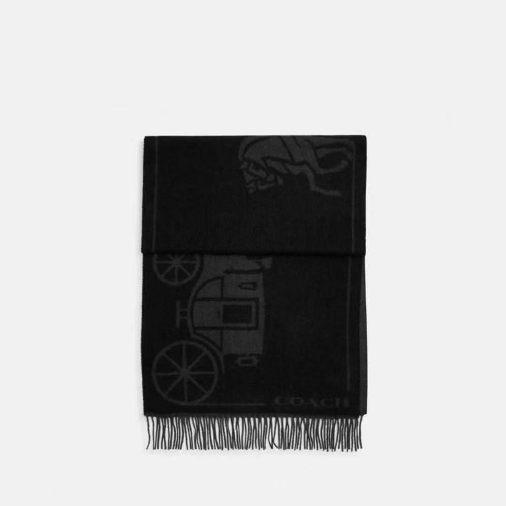 COACH/蔻驰大马车花纹围巾97%绵羊毛3%羊绒178x48cm男女同款N