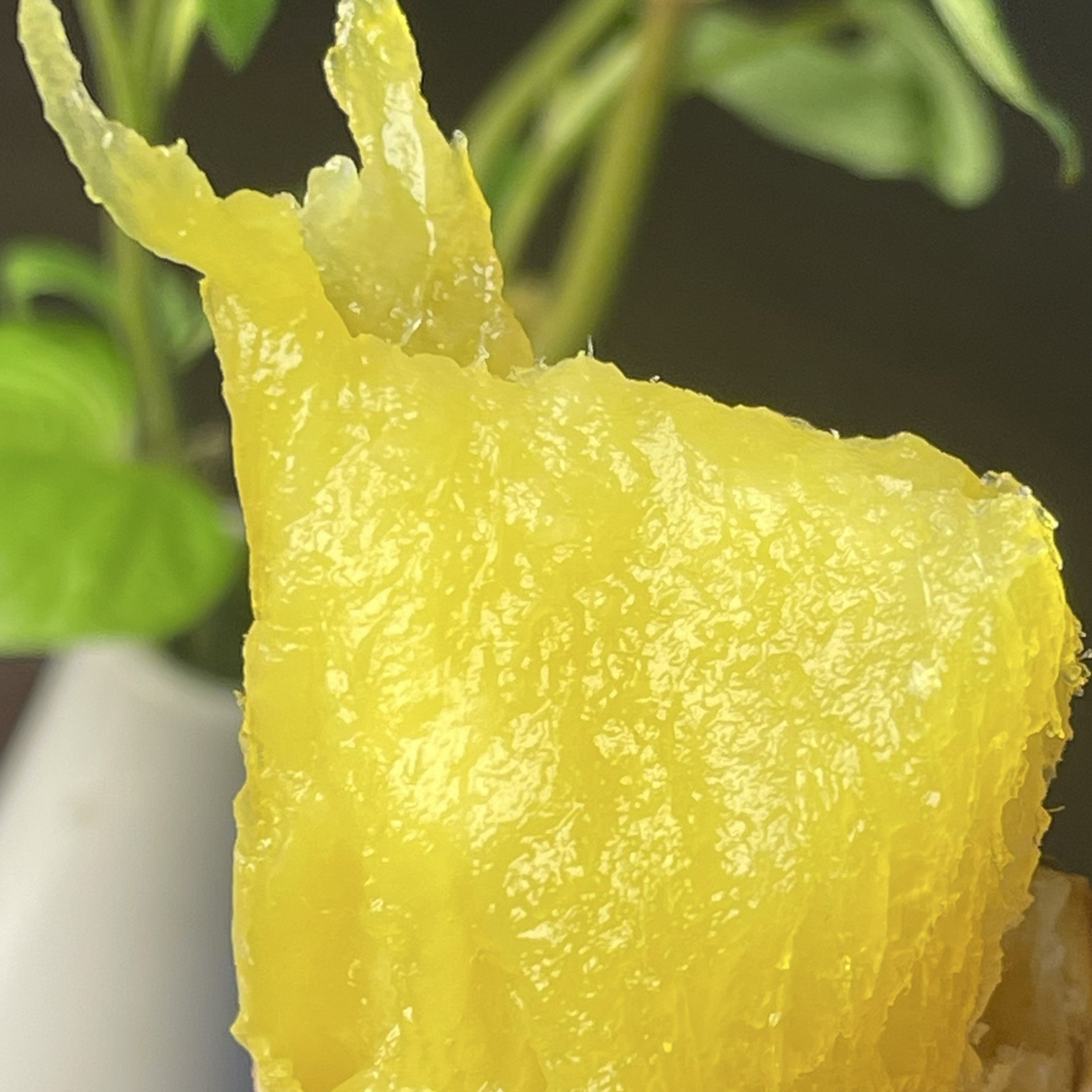 扬州美人薯比蜂蜜还甜比红瑶榴莲蜜薯好吃！