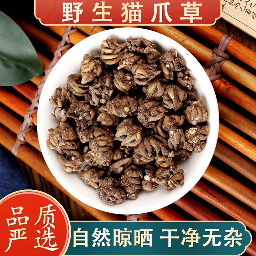 【叶主任推荐 】信阳野生高含量 猫爪草（已开价）