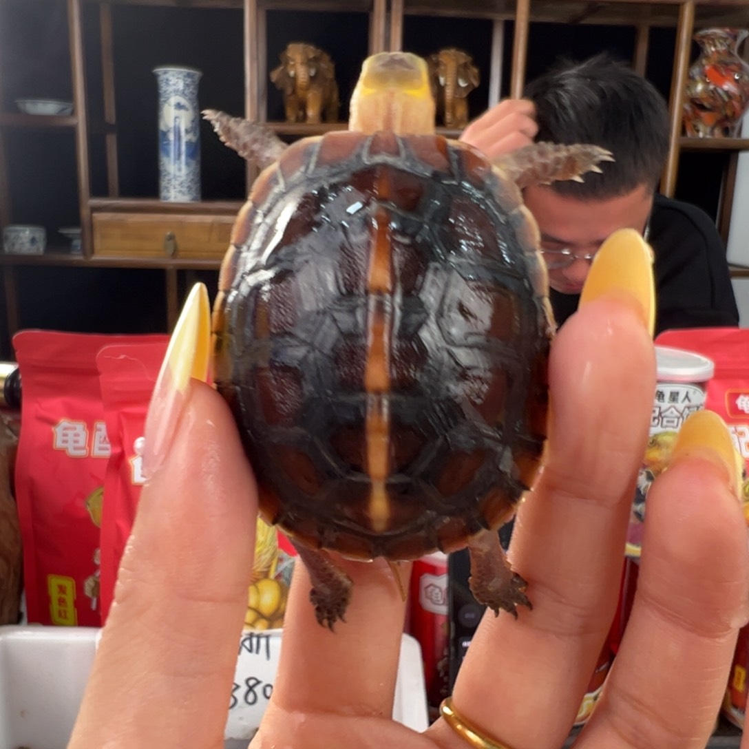 母长**O安啦啦啦啦啦啦