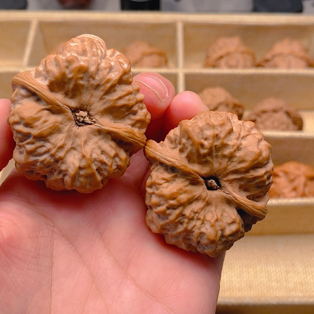 文玩核桃把件蛤蟆42