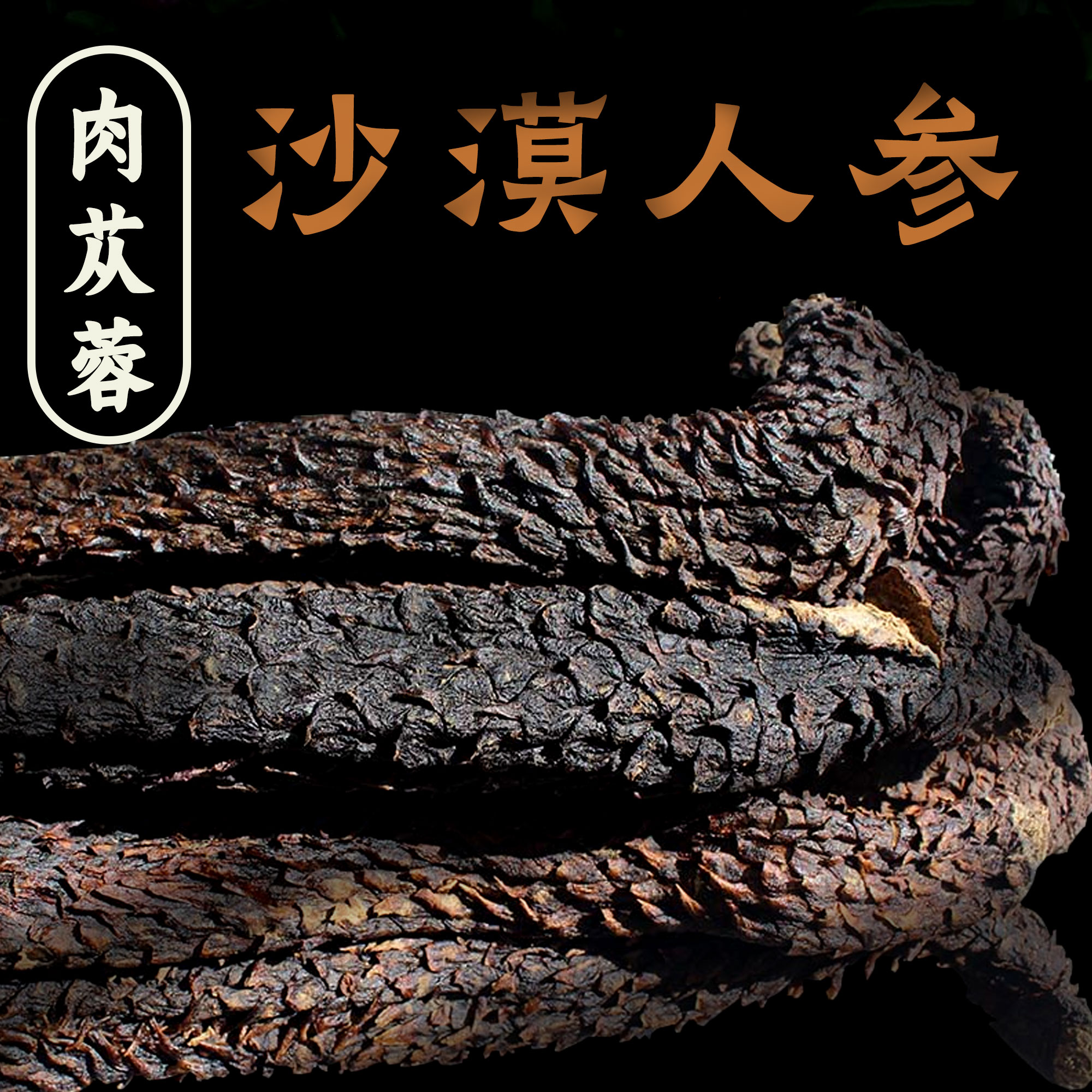 正宗内蒙古阿拉善产区肉苁蓉 油性软质 泡酒煮水煲汤道地材料