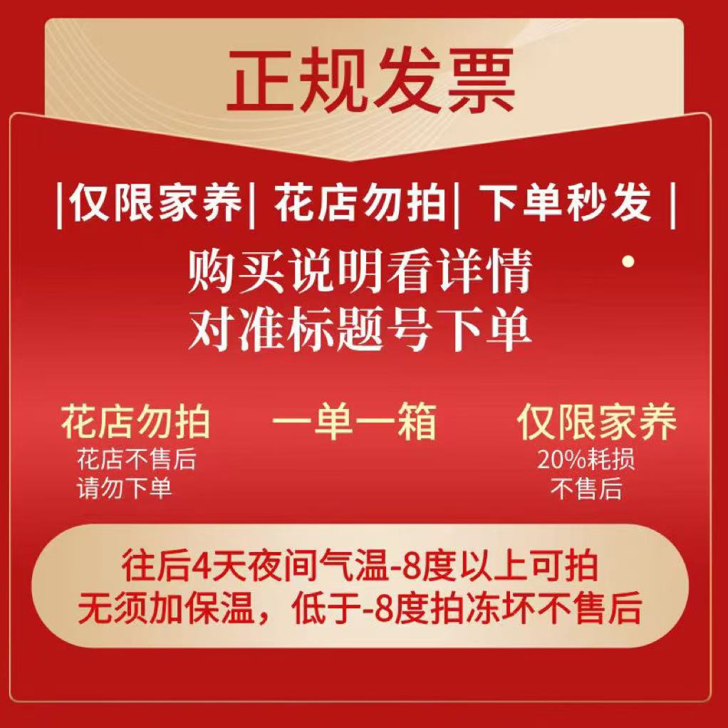 112号发一箱❤←对准号下单鲜花❤快递揽收后不支持退款