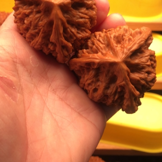 D***G核桃核桃核桃核桃核桃