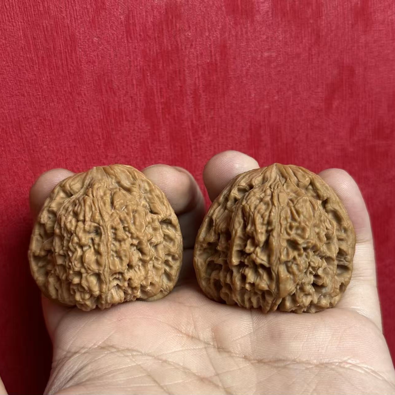 【雲夢澤】精挑南疆石狮子头 44mm L019