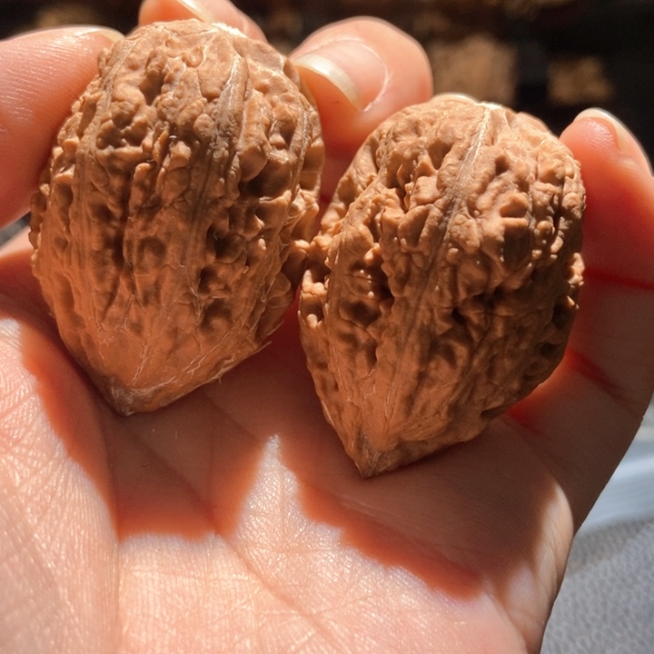 文玩核桃吊坠楸玥核95
