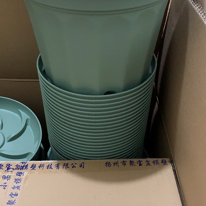 小果汀21口绿5个带托