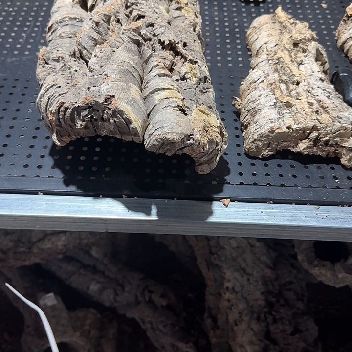 ****云无花朵一物一拍一物一发