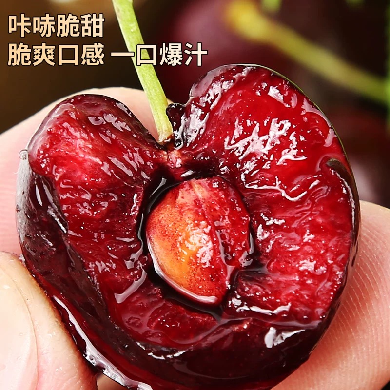 【海运车厘子】智利进口车厘子1KG-2.5KG J-4J内附果径卡