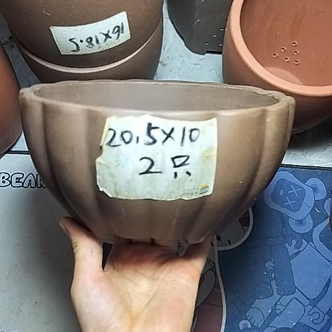 南瓜两个紫砂花盆