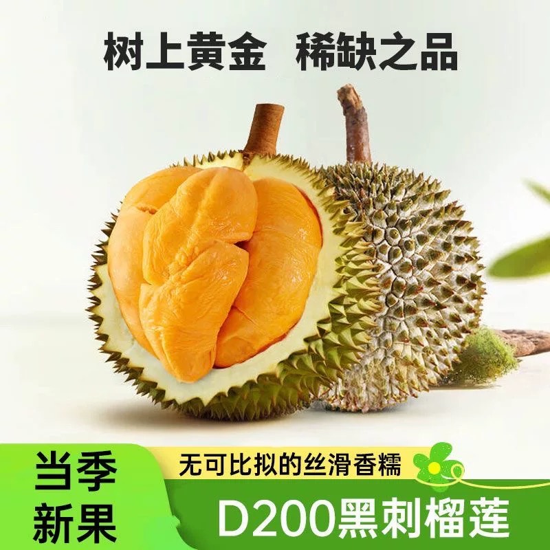 马来西亚 柔佛州 老树D200黑刺榴莲液氮冷冻3-7斤【顺丰快递】
