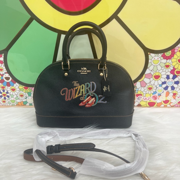 95新 品牌 95新 COACH/蔻驰 19002 斜挎包