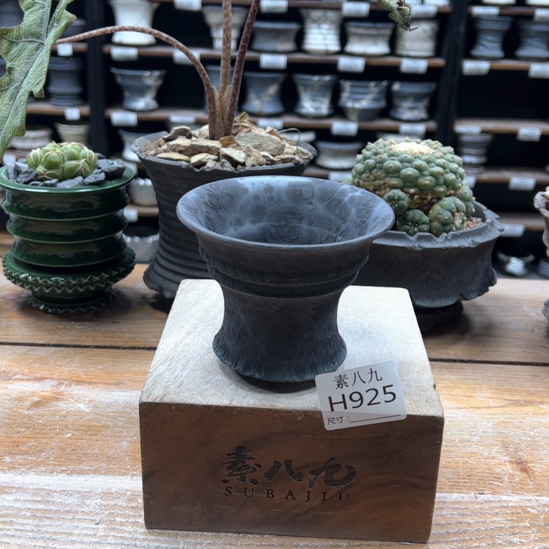 素八九陶瓷内口10.5高8.5