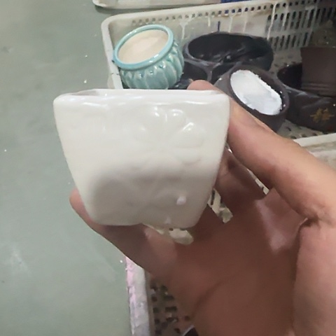 ····全是福利·····513