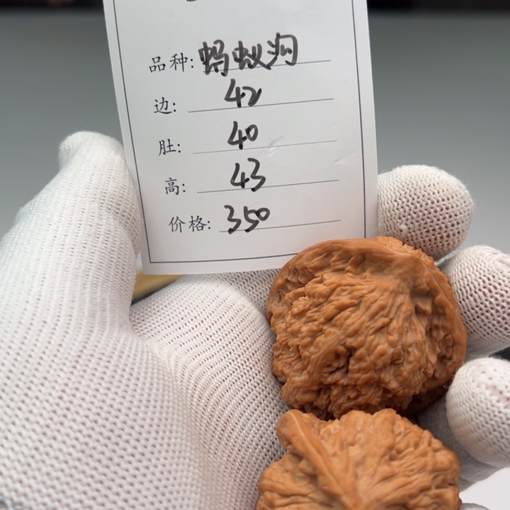 文玩核桃把件蚂蚁沟30