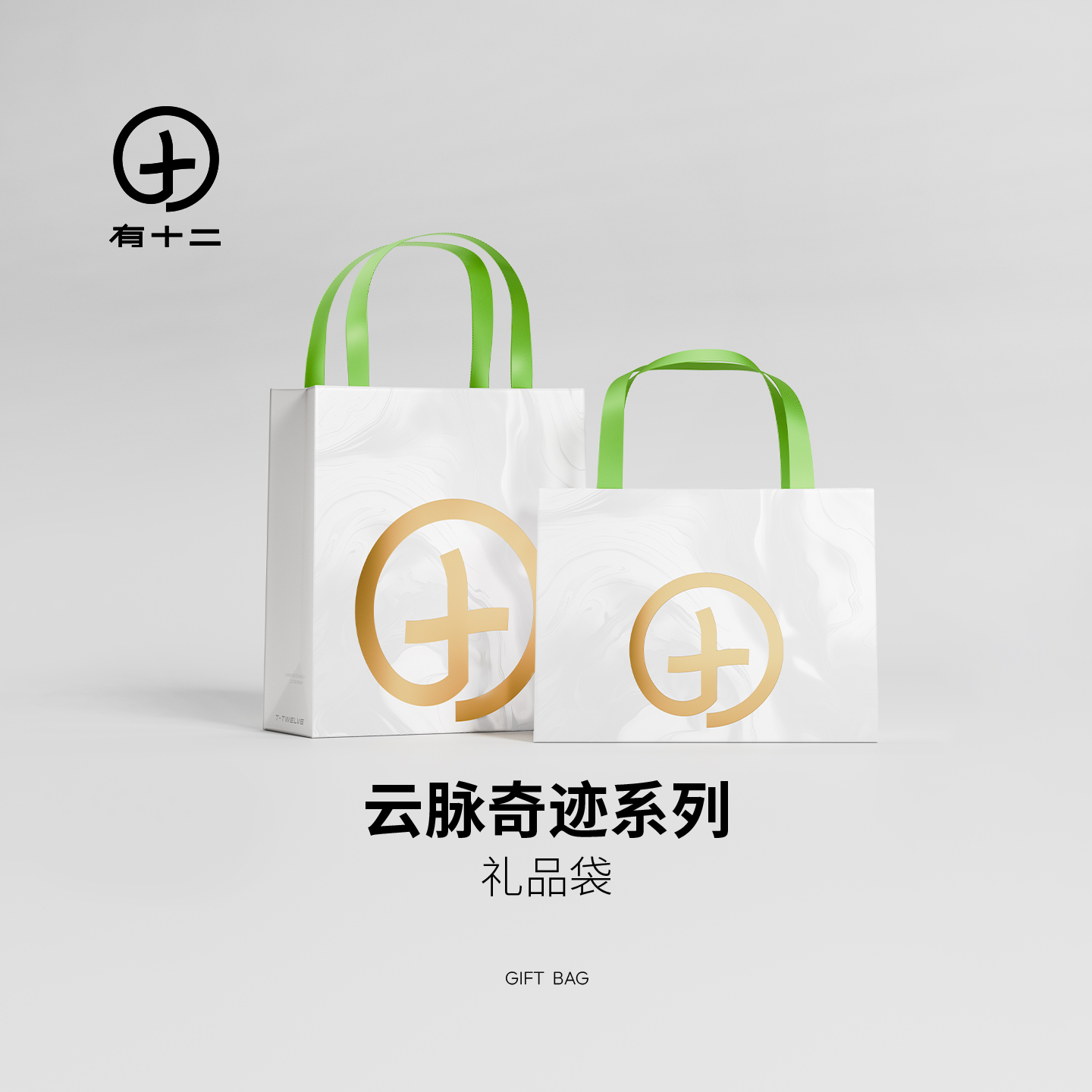 有十二 礼品袋生日节日送礼男女朋友精致高颜值手提袋