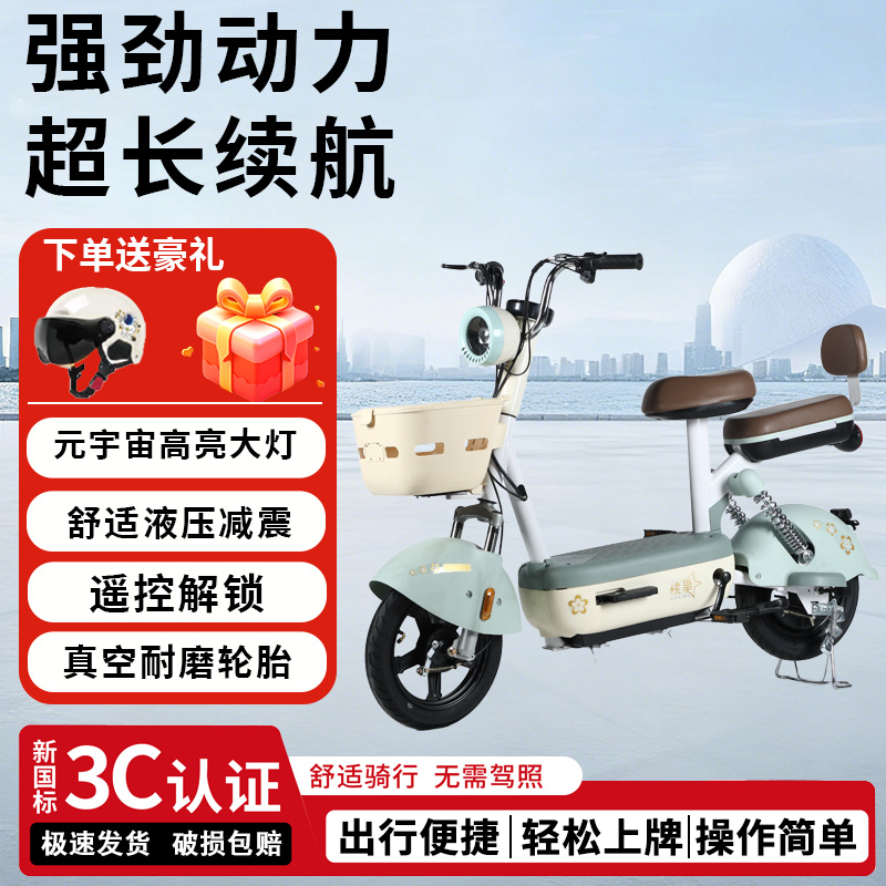 ZZ元宇宙新新国标电动自行车时尚款20