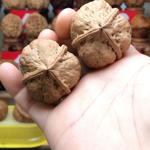 文玩核桃吊坠云南铁核桃