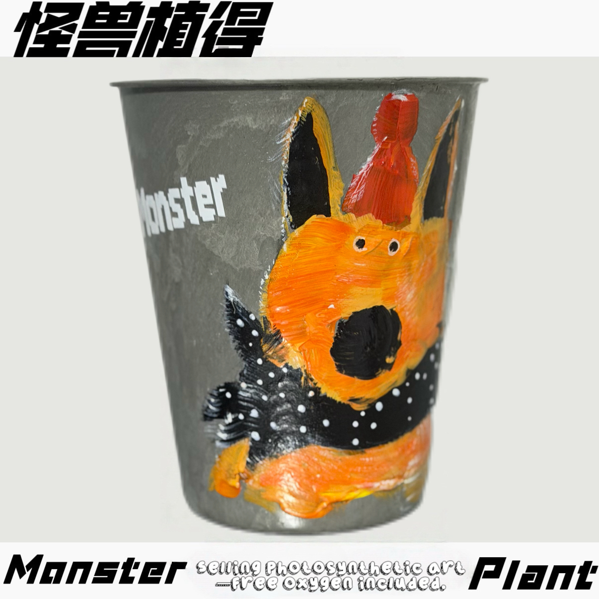 【Monster单盆】没有植物一物一拍